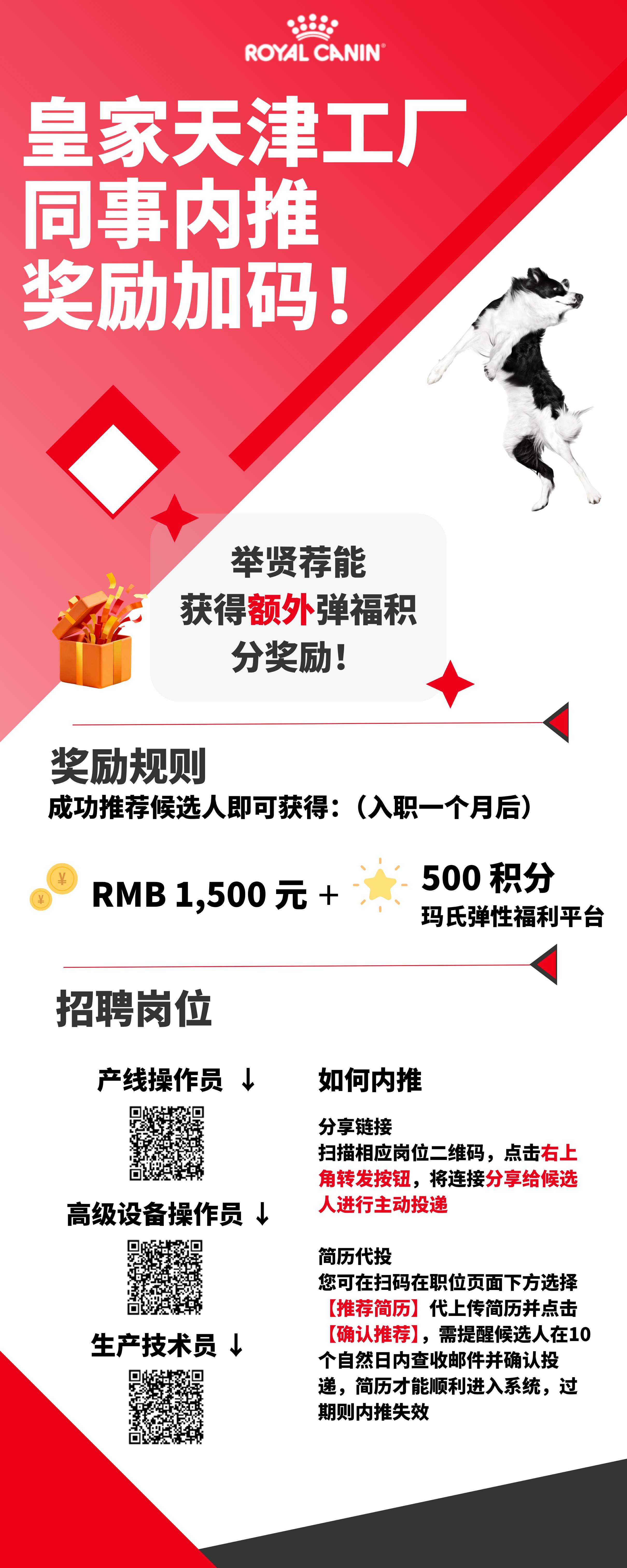皇家内推